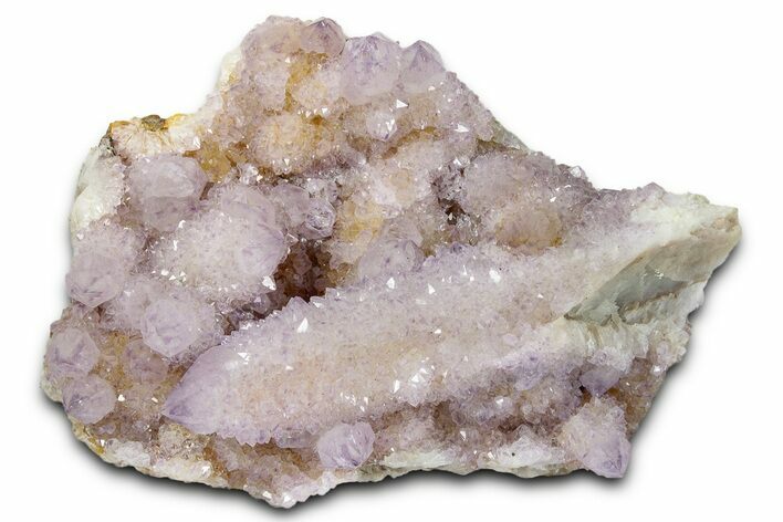 Sparkling Cactus Amethyst Crystal Cluster - South Africa #338063